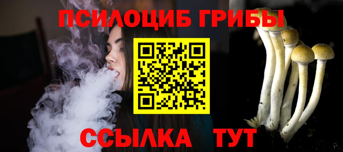 Гатчина  Галлюциногенные грибы MAGIC MUSHROOMS  где найти   Вход с VPN 